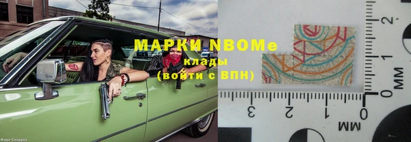 прущие грибы Новодвинск